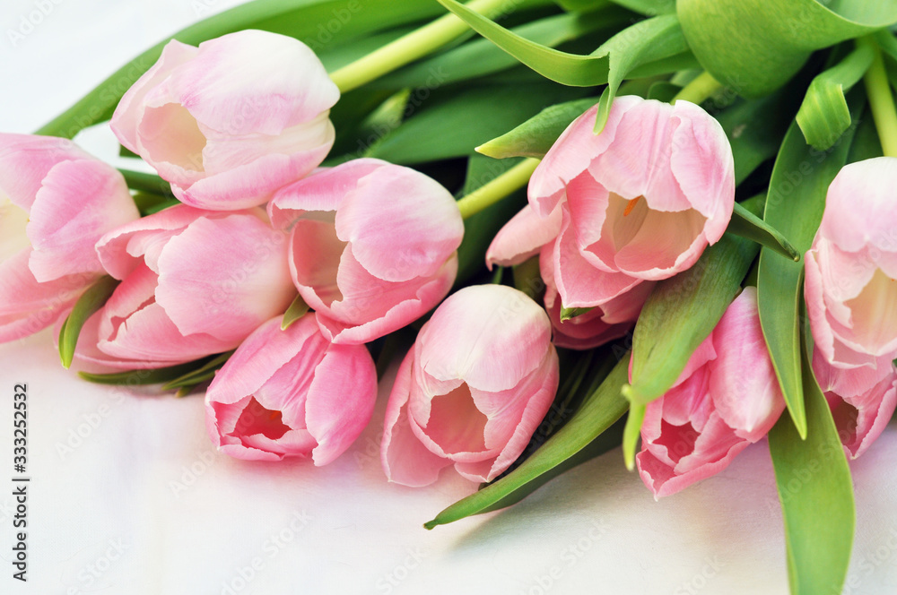 bouquet of tulips on white background bouquet of tulips on white background