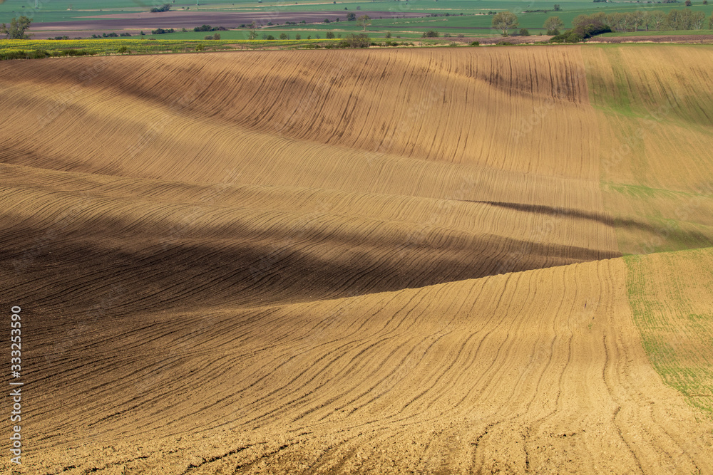 Naklejka premium Rolling fields of Moravian Tuscany in the Czech Republic.