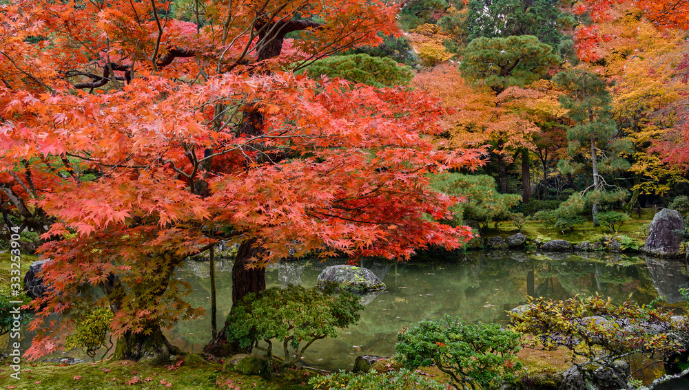 Foliage landscape in Kyoto, Japan.
