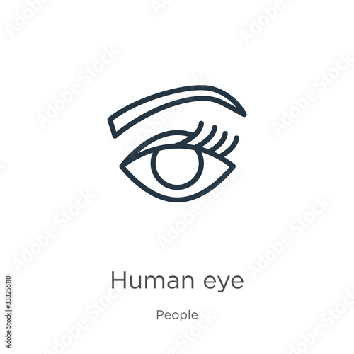 Human eye icon. Thin linear human eye outline icon isolated on white background from people collection. Line vector sign, symbol for web and mobile