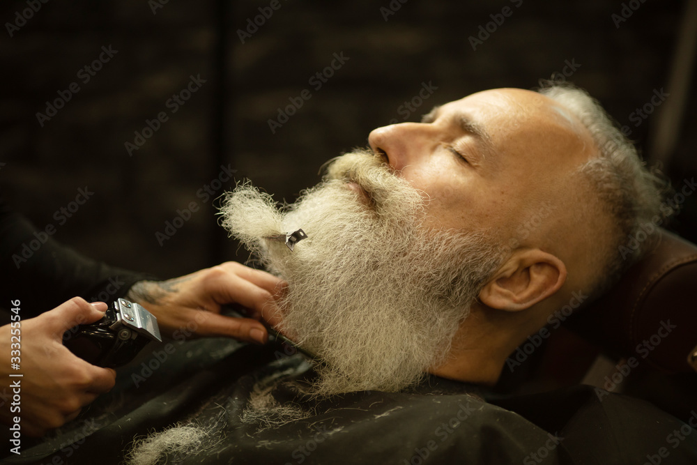 Handsome senior man getting styling and trimming of his beard in the barbershop. Handsome senior man getting styling and trimming of his beard in the barbershop.