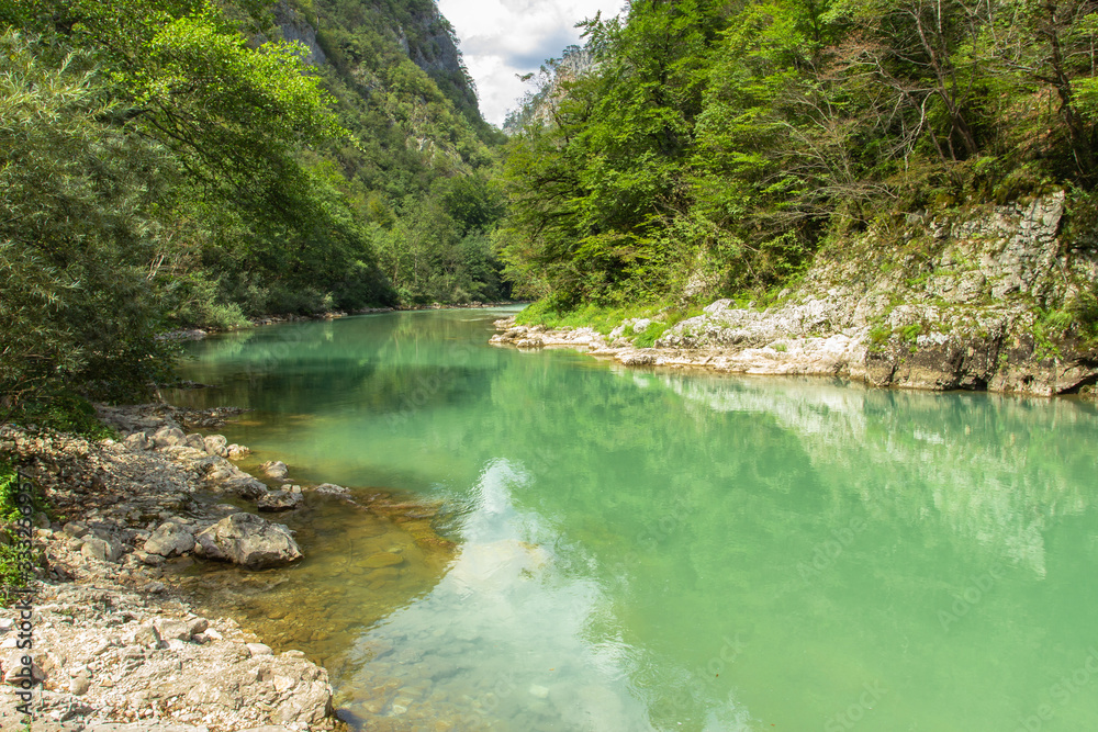 Obraz premium Mountain forest river landscape with clear water and stones. Fresh water.