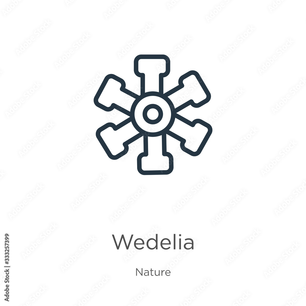 Wedelia icon. Thin linear wedelia outline icon isolated on white background from nature collection. Line vector sign, symbol for web and mobile Wedelia icon. Thin linear wedelia outline icon isolated on white background from nature collection. Line vector sign, symbol for web and mobile