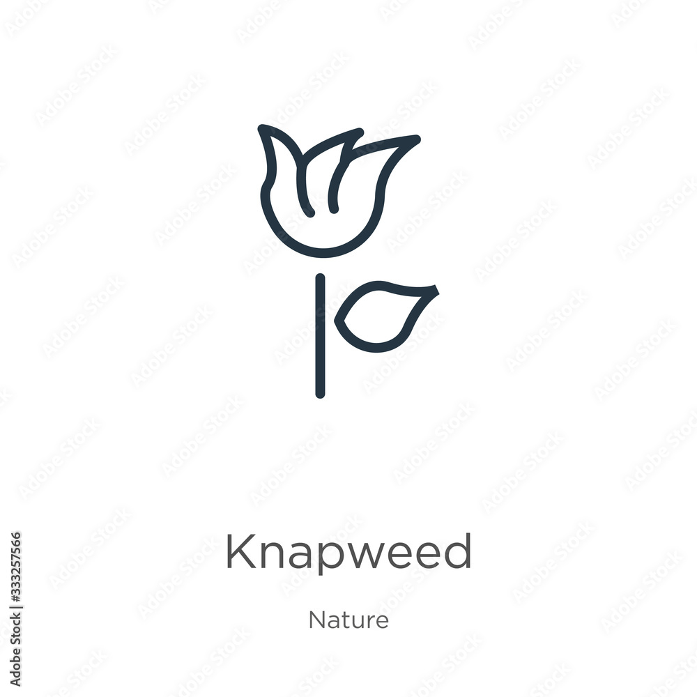 Knapweed icon. Thin linear knapweed outline icon isolated on white background from nature collection. Line vector sign, symbol for web and mobile Knapweed icon. Thin linear knapweed outline icon isolated on white background from nature collection. Line vector sign, symbol for web and mobile