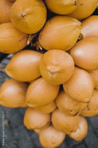 Yellow coconuts fruits.