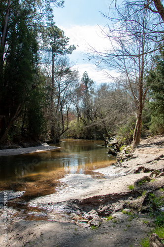 bohemian park in fairhope alabama winding river in cypress trees