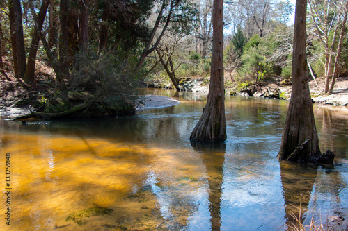 bohemian park in fairhope alabama winding river in cypress trees