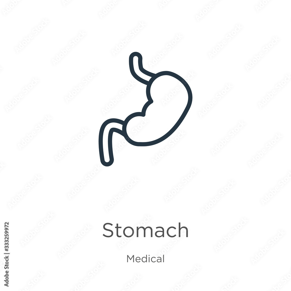 Stomach icon. Thin linear stomach outline icon isolated on white background from medical collection. Line vector sign, symbol for web and mobile Stomach icon. Thin linear stomach outline icon isolated on white background from medical collection. Line vector sign, symbol for web and mobile