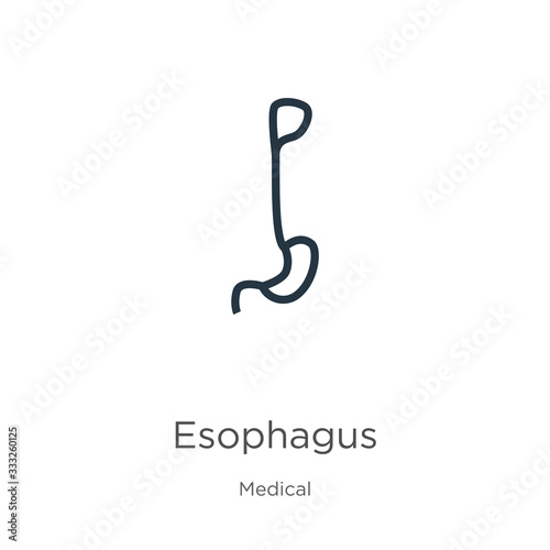 Esophagus icon. Thin linear esophagus outline icon isolated on white background from medical collection. Line vector sign, symbol for web and mobile