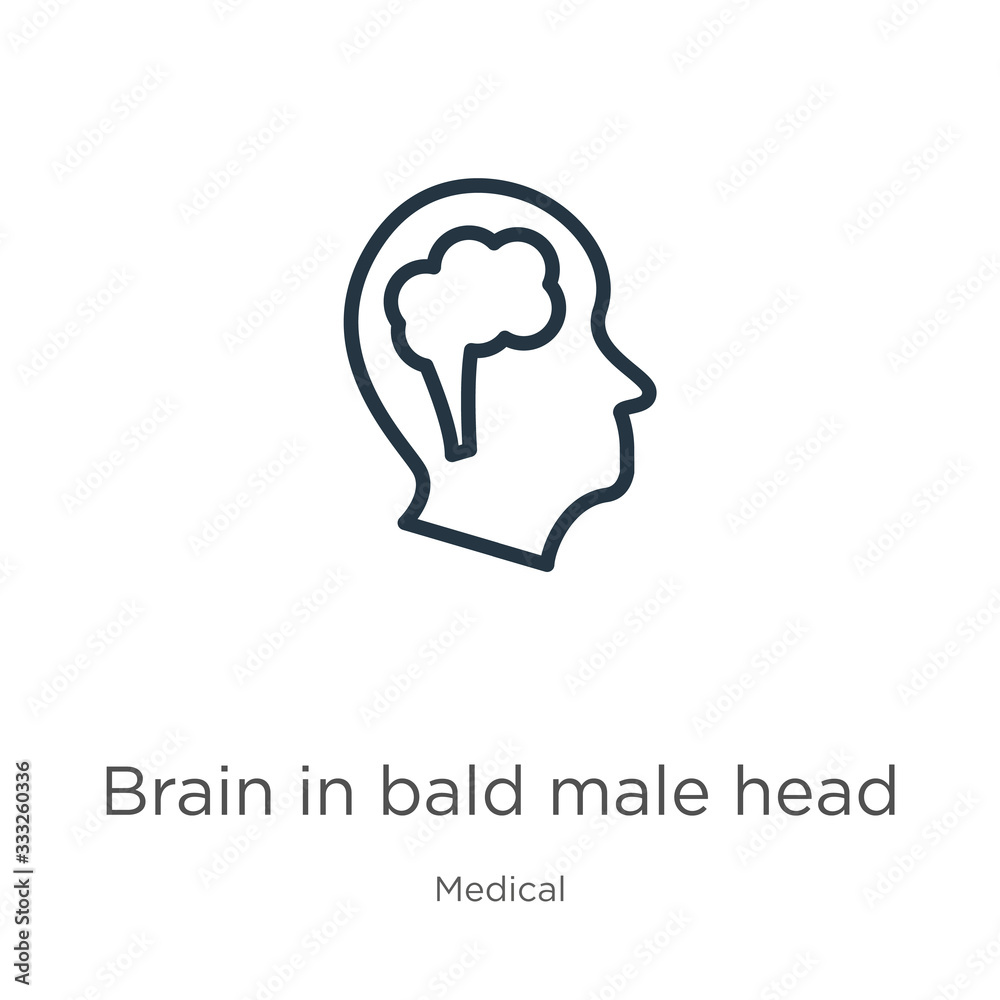 Brain in bald male head icon. Thin linear brain in bald male head outline icon isolated on white background from medical collection. Line vector sign, symbol for web and mobile