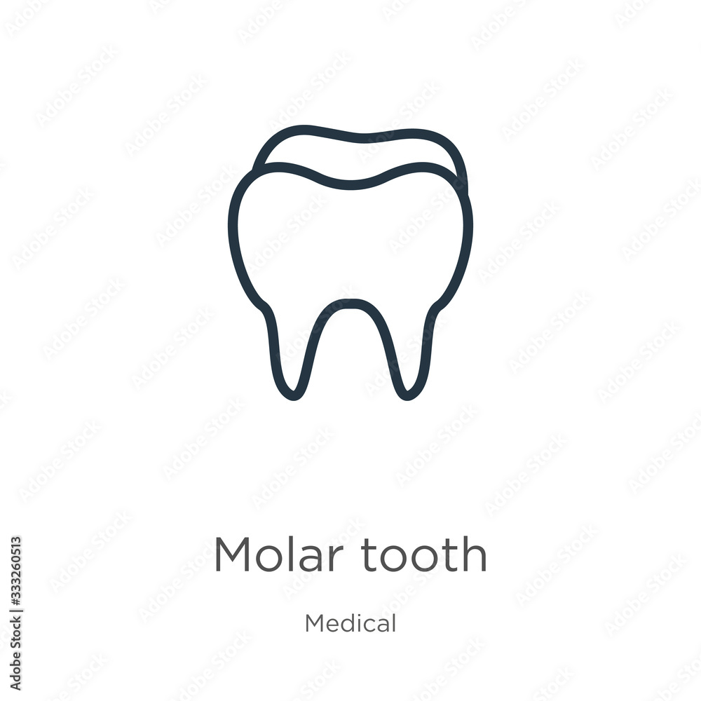 Molar tooth icon. Thin linear molar tooth outline icon isolated on white background from medical collection. Line vector sign, symbol for web and mobile Molar tooth icon. Thin linear molar tooth outline icon isolated on white background from medical collection. Line vector sign, symbol for web and mobile
