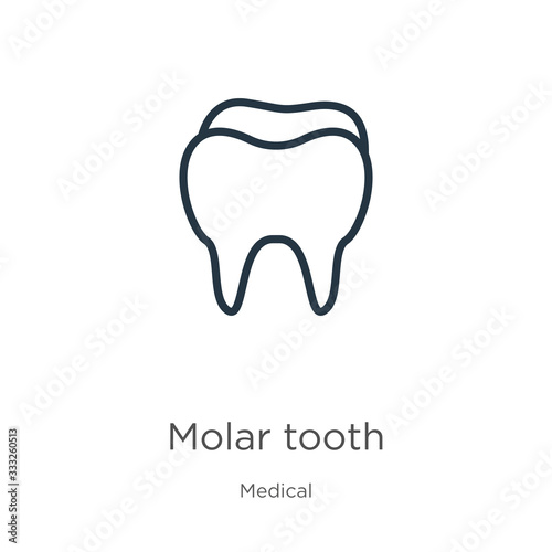 Molar tooth icon. Thin linear molar tooth outline icon isolated on white background from medical collection. Line vector sign, symbol for web and mobile