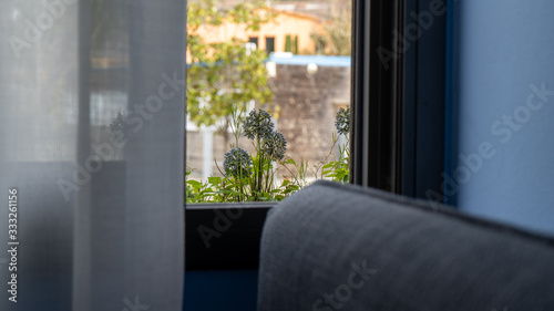 Fototapeta Naklejka Na Ścianę i Meble -  Planta en el balcón