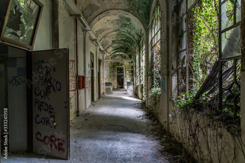 Canvastavla manicomio di Mombello