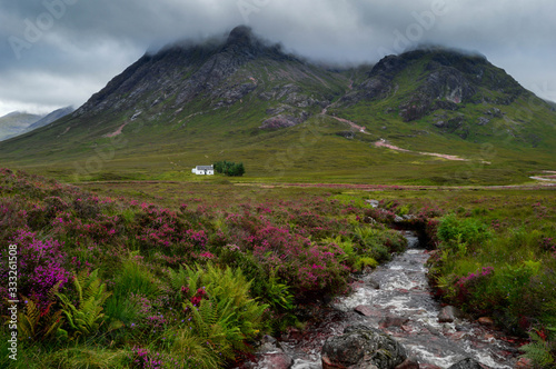 Little white house and creek surrounded by flowers below Buachaille Etive Mòr, in Glencoe Valley, in the Scottish Highlands in Scotland.
