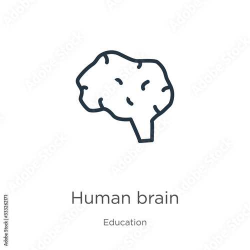 Human brain icon. Thin linear human brain outline icon isolated on white background from education collection. Line vector sign, symbol for web and mobile