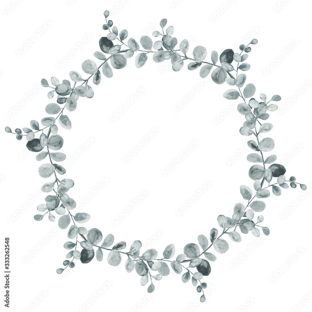 Obraz premium Grey eucalyptus leaves crown watercolor