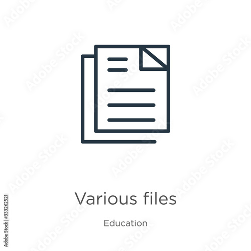 Various files icon. Thin linear various files outline icon isolated on white background from education collection. Line vector sign, symbol for web and mobile