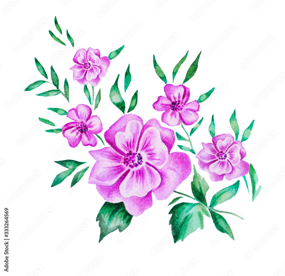 Pink flowers. Watercolor hand painting illustration on white background for greeting cards, invitations and other printing projects.