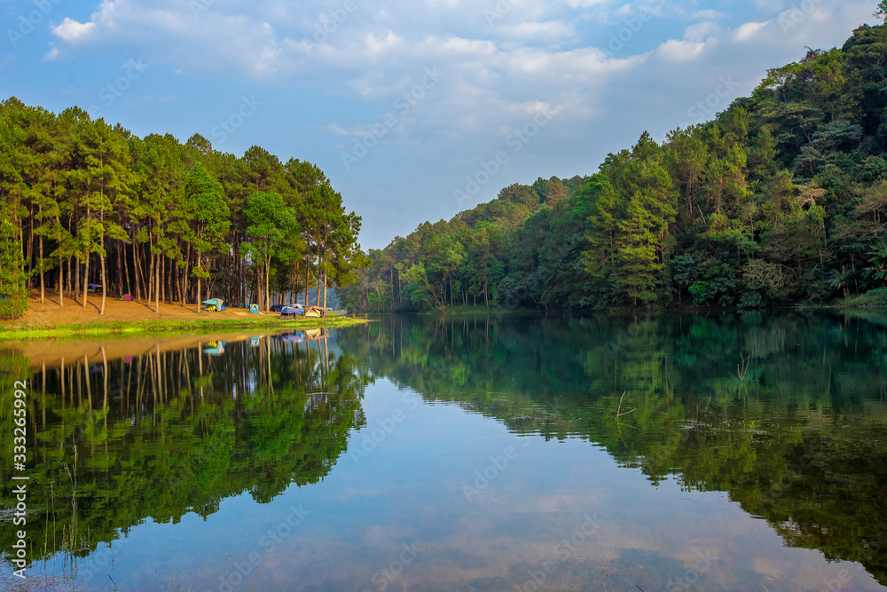 Thailand, Camping, Tent, Woodland, Forest Thailand, Camping, Tent, Woodland, Forest