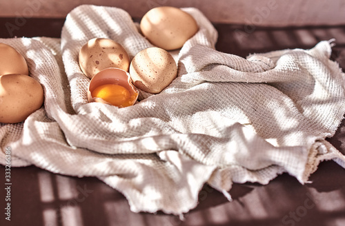 easter composition of chicken eggs