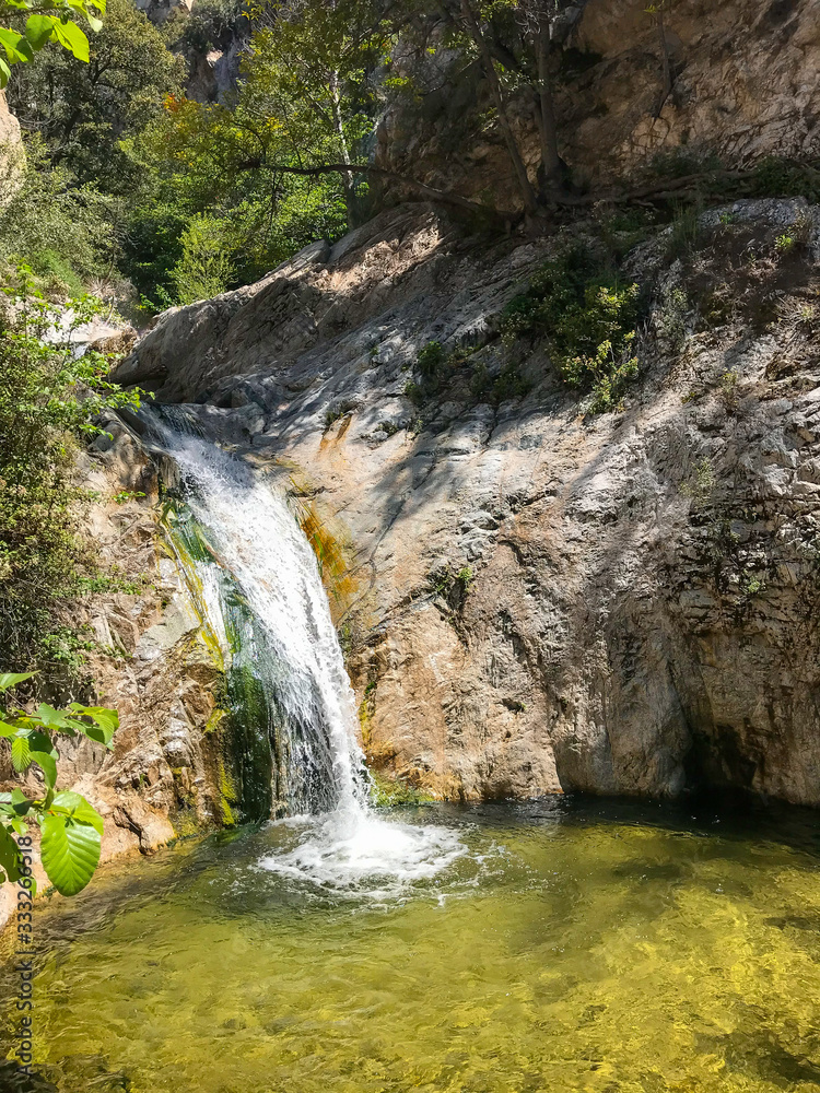 Obraz premium waterfall in the forest