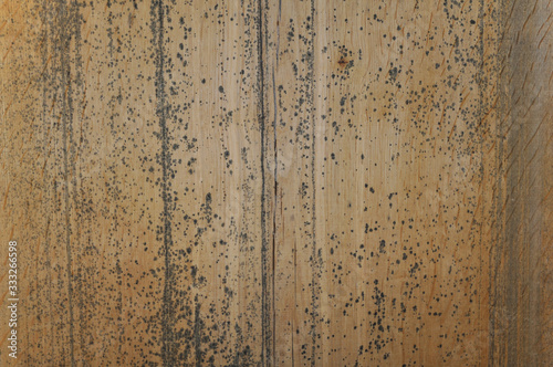 Old wood texture background