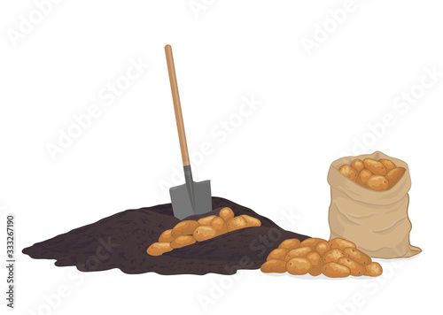 Dig potatoes from the ground. Shovel. A pile of soil and potatoes. A bag of potatoes. Potato digging time in autumn, gardening, harvest time concept