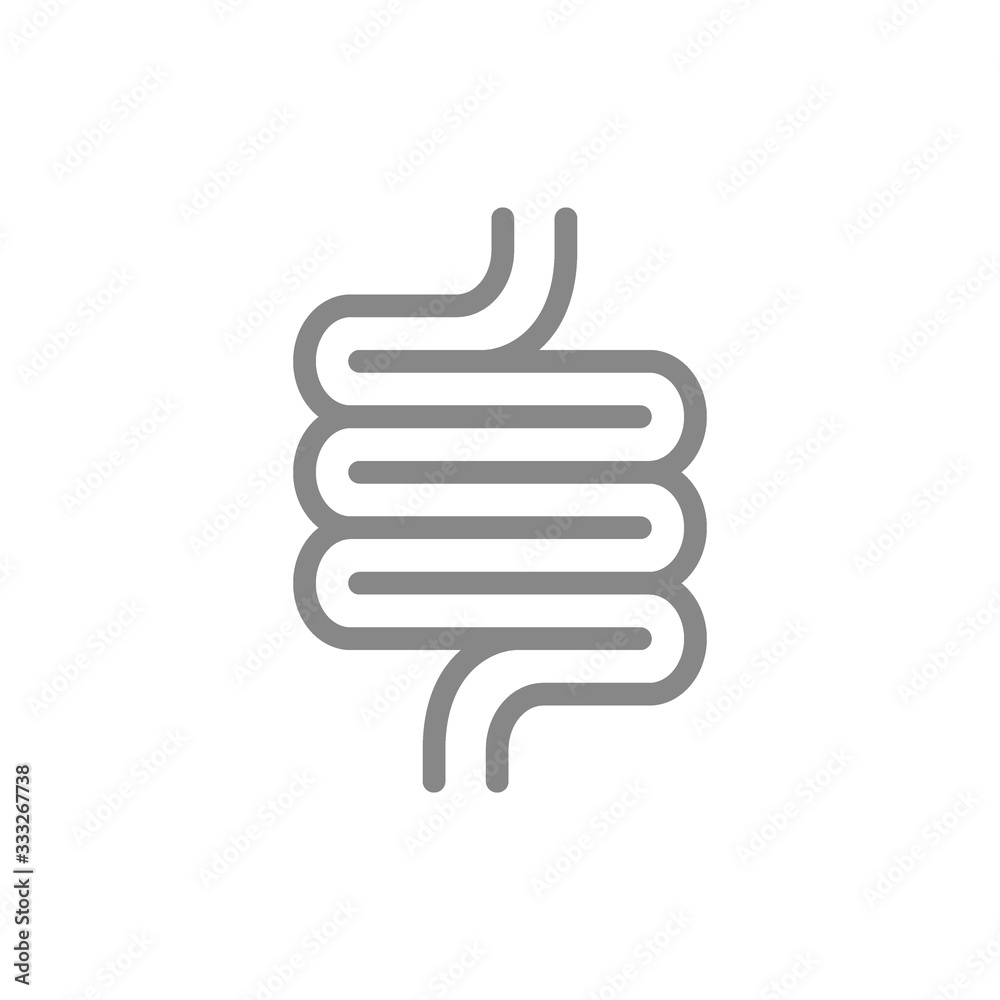 Human intestine line icon. Healthy internal organ symbol Human intestine line icon. Healthy internal organ symbol