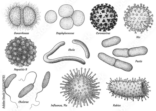 infectious bacteria and virus collection illustration, drawing, engraving, ink, line art, vector photo