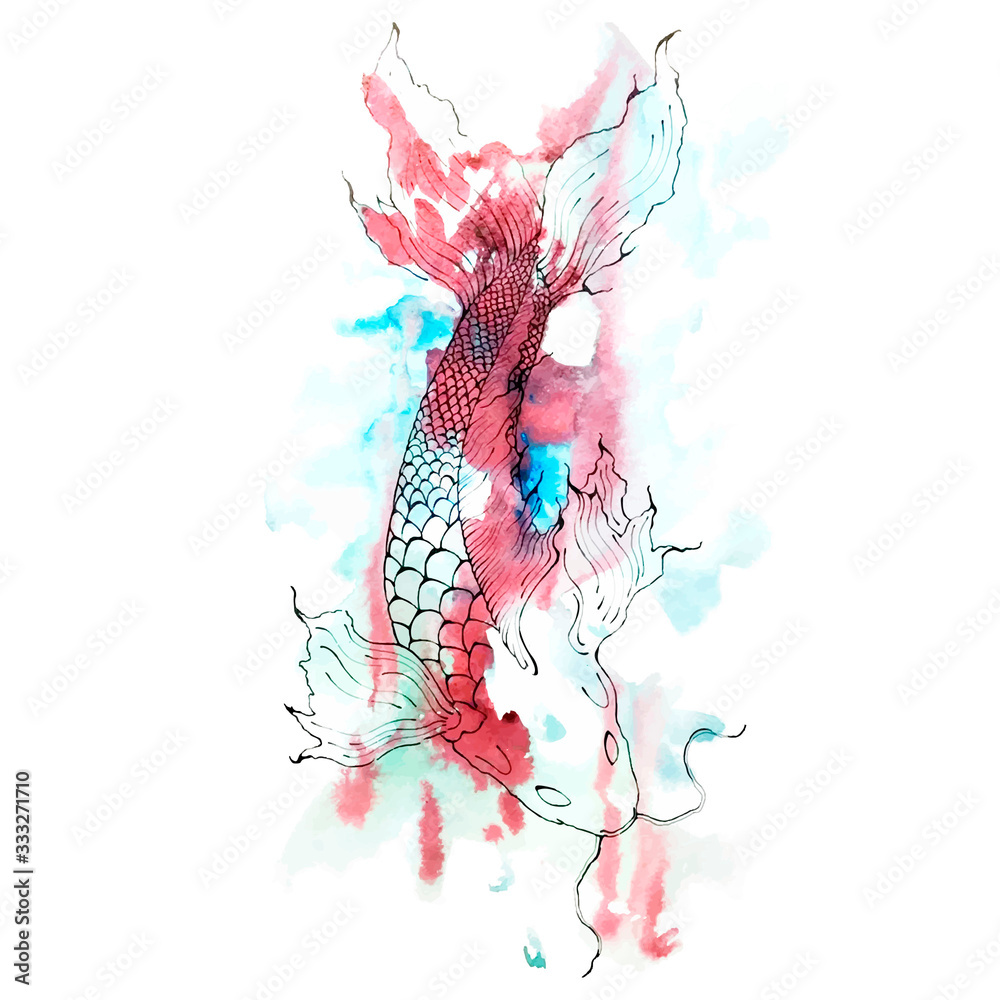 Obraz premium Sketch of carp and watercolor stains