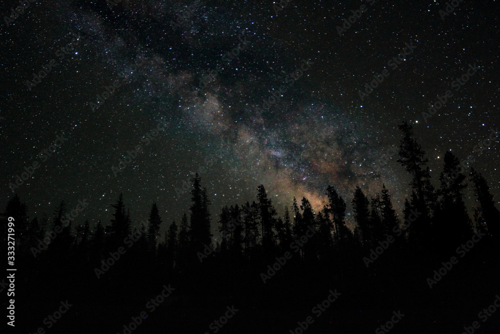 Fototapeta premium milky way