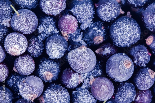 Frozen berry food and blueb...