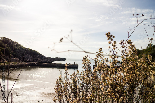 ancient roman harbor (Porto Cofaniello) in regional Suburban Park of Gianola and Mount Scauri, Lazio region, Italy photo