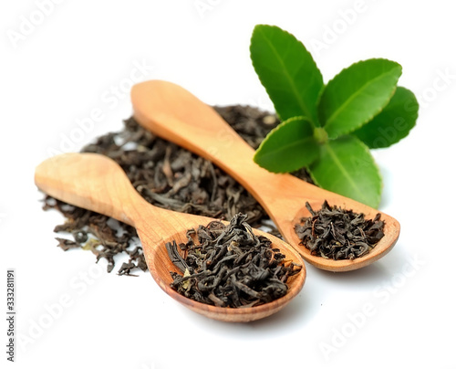 Tea leaves and dried tea on a white background