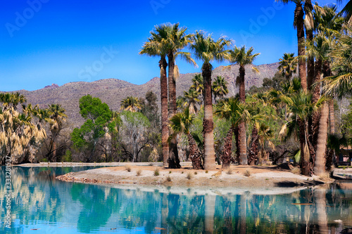 Blue waters and palm trees at Agua Caliente Park, an oasis in the Arizonan desert NE of Tucson photo