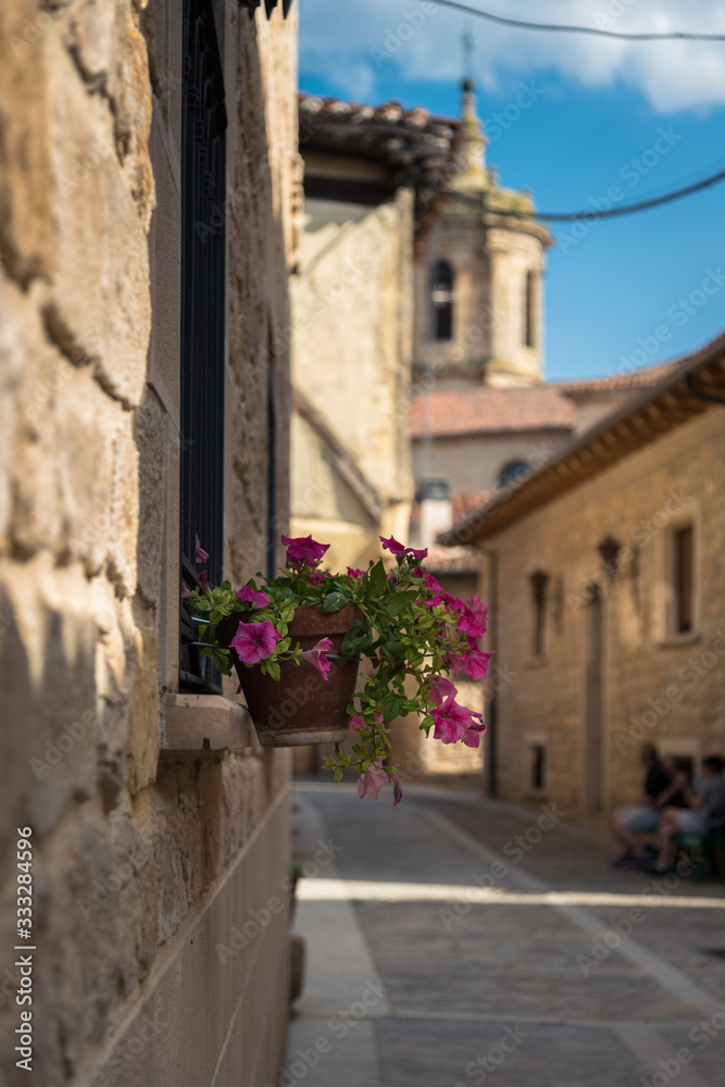 A flower pot hanging on a window with a effect of a soft out of focus background, Santo DOmingo de Silos, Burgos, Spain