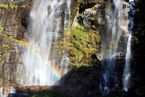 waterfall in the forest