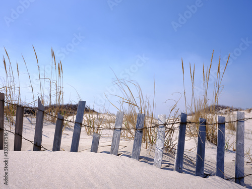 New Jersey Island Beach state park attempts to protect the massive and endangered sand dunes from wind and wave erosion, as well as human foot traffic with these wooden slat storm fencing