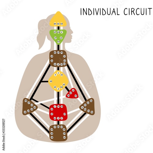 Individual Circuitry. Human Design BodyGraph. Hand drawn bodygraph chart design. Vector