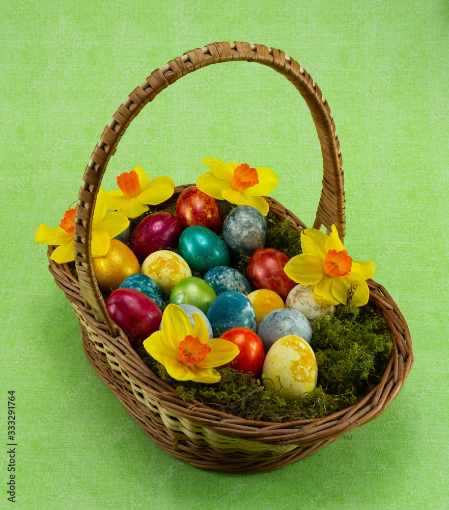 Easter, colored painted eggs in a wicker basket with moss and daffodil