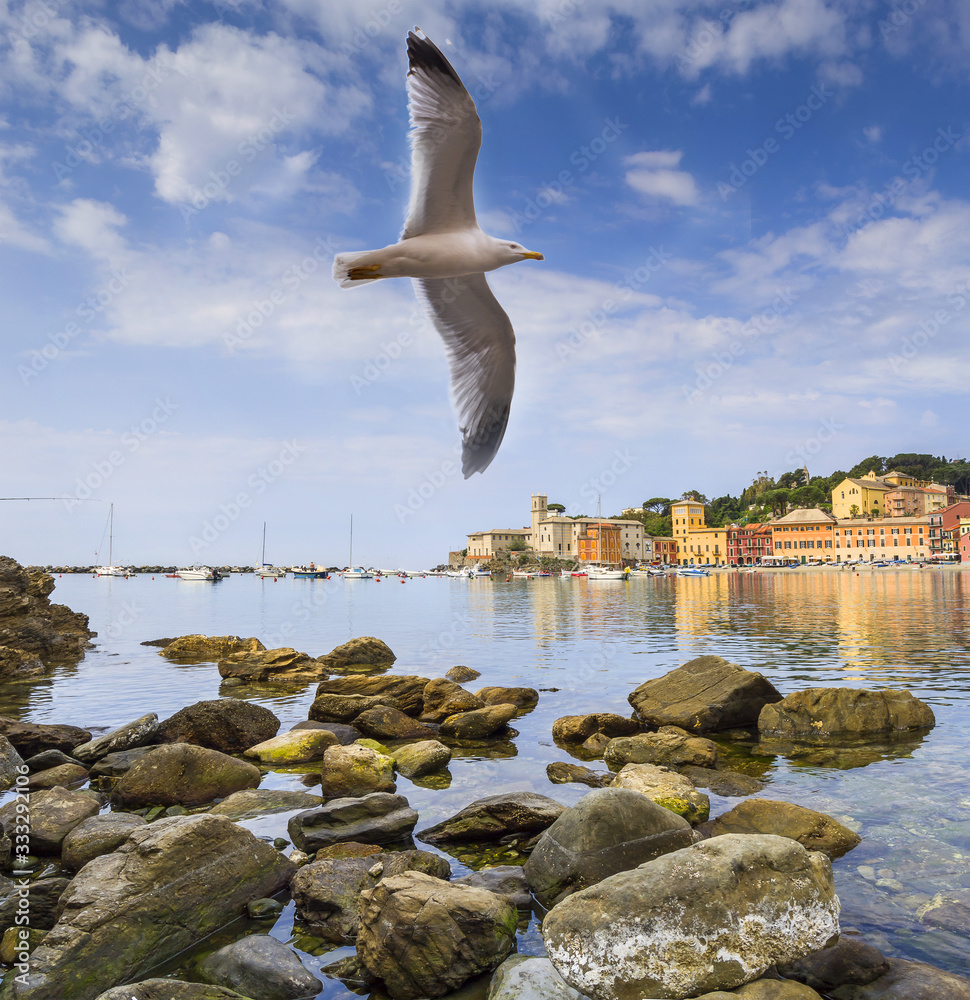 Seagull flies over the bay of silence in Sestri Levante Seagull flies over the bay of silence in Sestri Levante