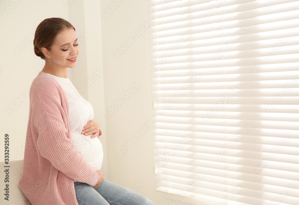 Young pregnant woman near window at home. Space for text Young pregnant woman near window at home. Space for text