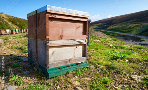 A closeup of a wooden beehive with others in the background on open moorland in the English countryside. © Duncan Andison