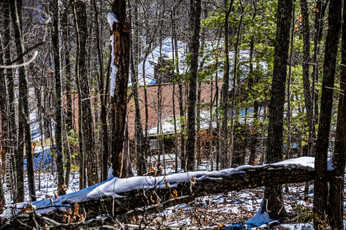 trees in the forest with snow and cabin through the trees photo