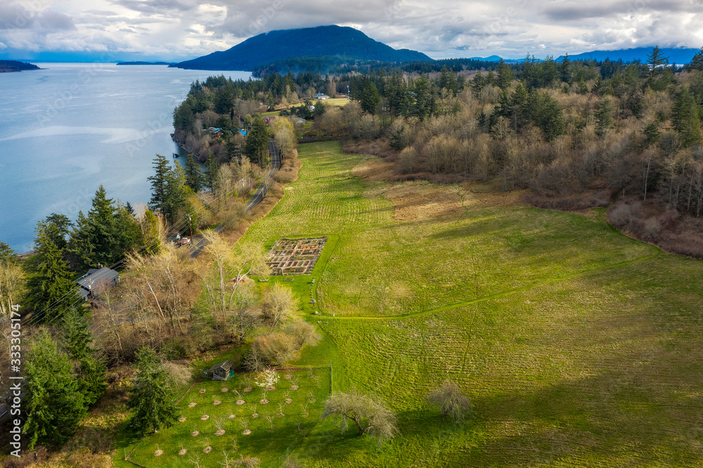 Obraz premium Aerial View of an Orchard on the West Side of Lummi Island, Washington. Fruit trees and open pastureland are common sights on this beautiful Pacific Northwest island in the Salish Sea.
