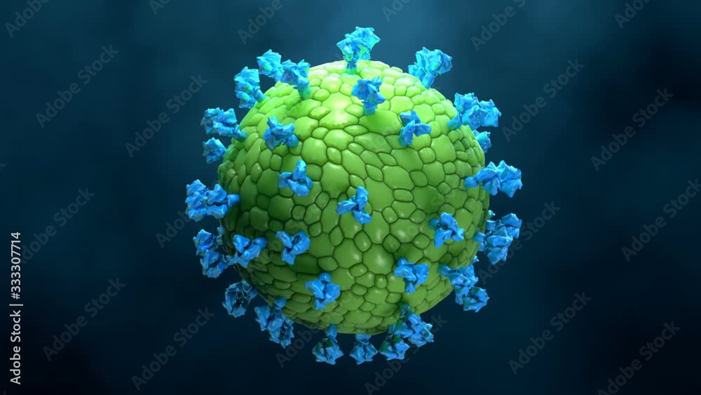 Virus-like particles (VLPs) in green no viral genetic material and in red virus's genetic material (RNA) Virus-like particles (VLPs) in green no viral genetic material and in red virus's genetic material (RNA)