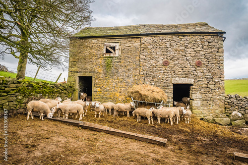 Mastiles Lane, near Malham and Kilnsey in North Yorkshire, was a Roman marching road and later an important route for the Cistercian monks leading sheep from Fountains Abbey photo