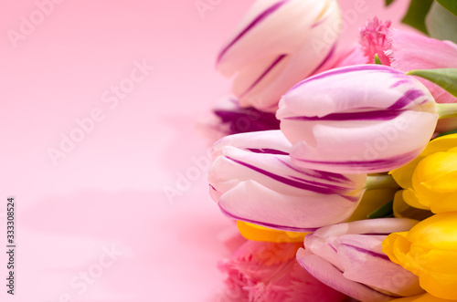 Floral background. Bouquet of tulips on a pink background. Flowers on the right. Left place for your text.