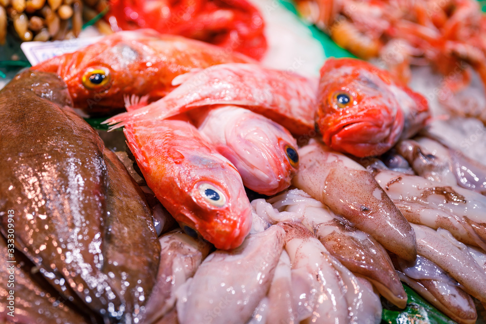 Fresh colorful fishes on ice in the fishmarket in Barcelona